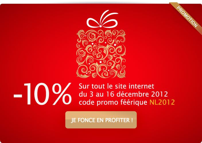 Découvrez votre cadeau pour Noël